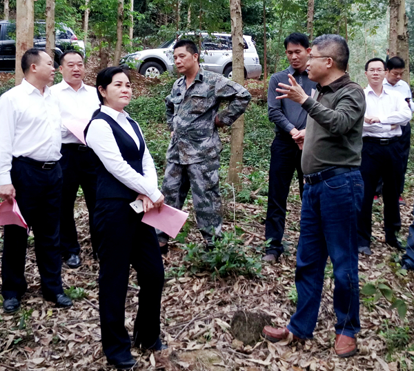 �������鿼��������������ʾ���֣������� �㣩