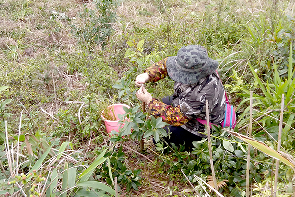 ���������ڼ޽Ӱ˽ǣ�ŷ�� �㣩