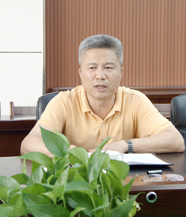 �����ɳ�������