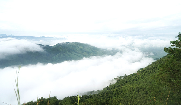 ���������Ƶ�����ͷ�������� �㣩