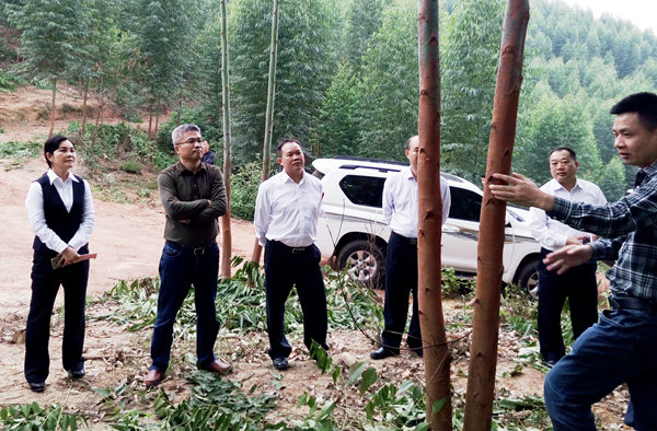 �������鿼�������޽ڲ�����ʾ���֣������� �㣩