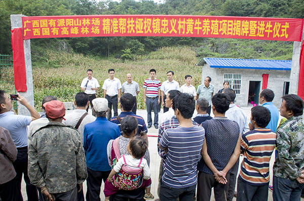 ����ɽ���������ţ��ֳ��Ŀ��ʽ����