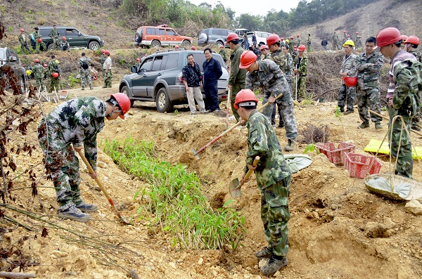 ��������ֲ����