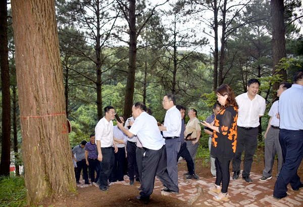 ��������ɽɭ�ֹ�԰�󾶲�չʾ�� (1)