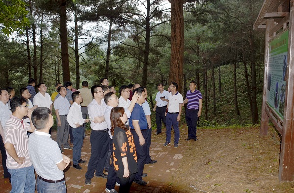 ��������ɽɭ�ֹ�԰�󾶲�չʾ�� (1)